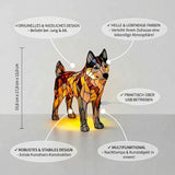 Nala Verzauberte Lampe