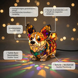 Corgi Glück