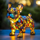 Strahlender Französischer Bulldogge
